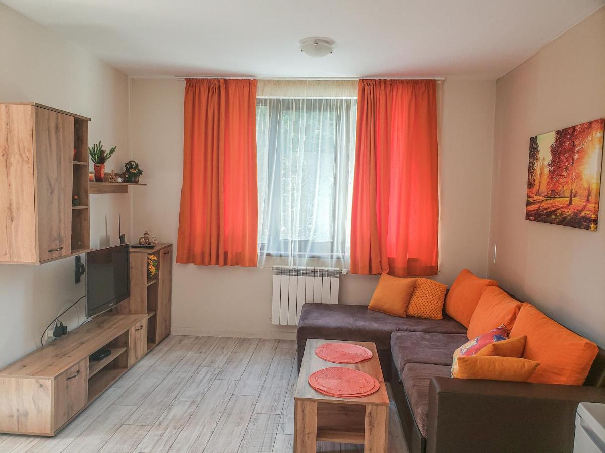 Lovely Apartment Borovets
