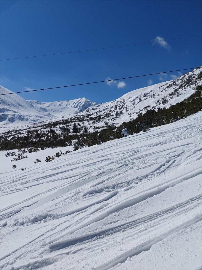 Lovely * Borovets